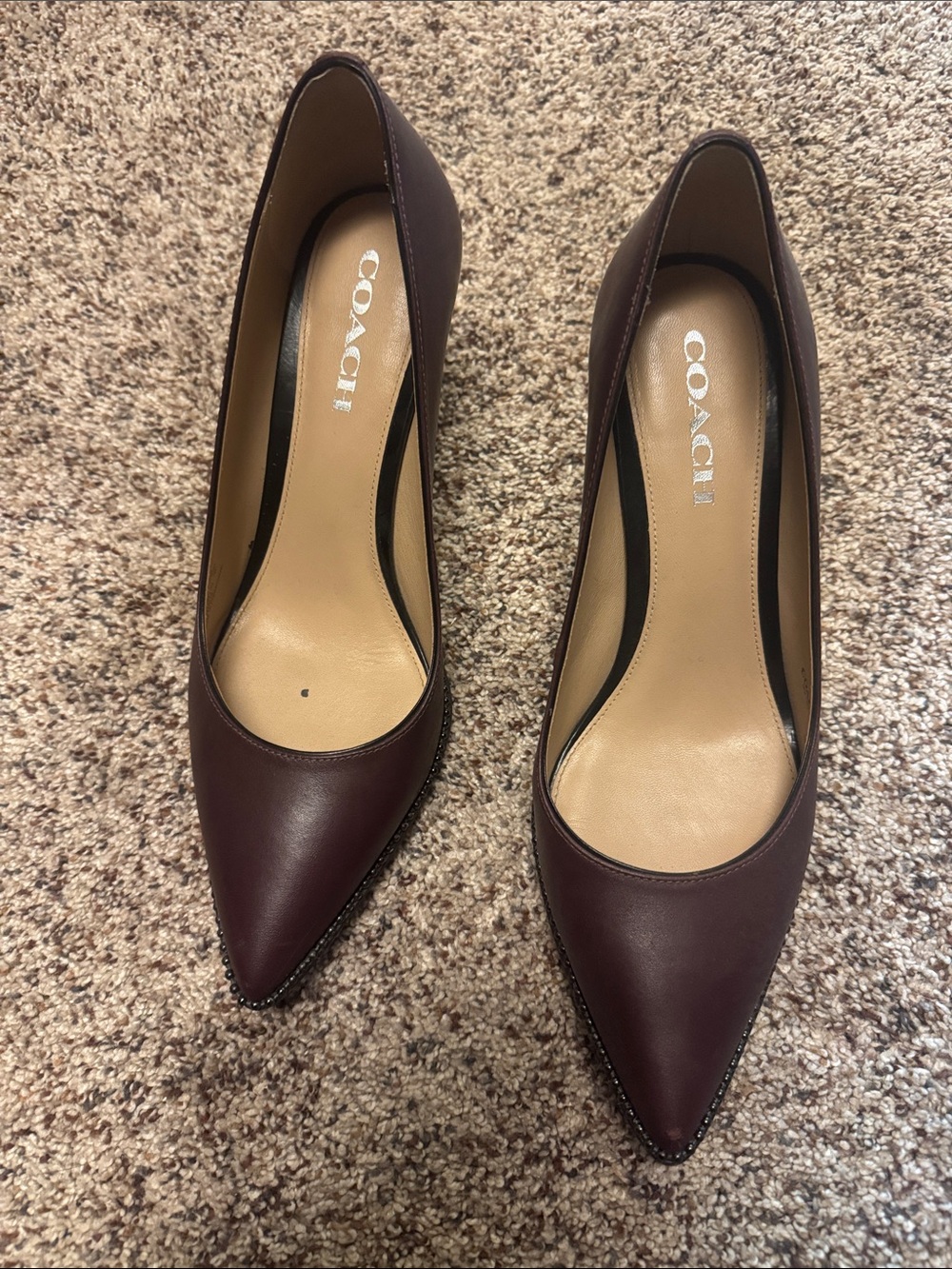 Coach Pointed Toe Leather Pumps in Burgundy Plum